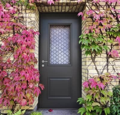 Portes d'entrée : sécurité et esthétisme